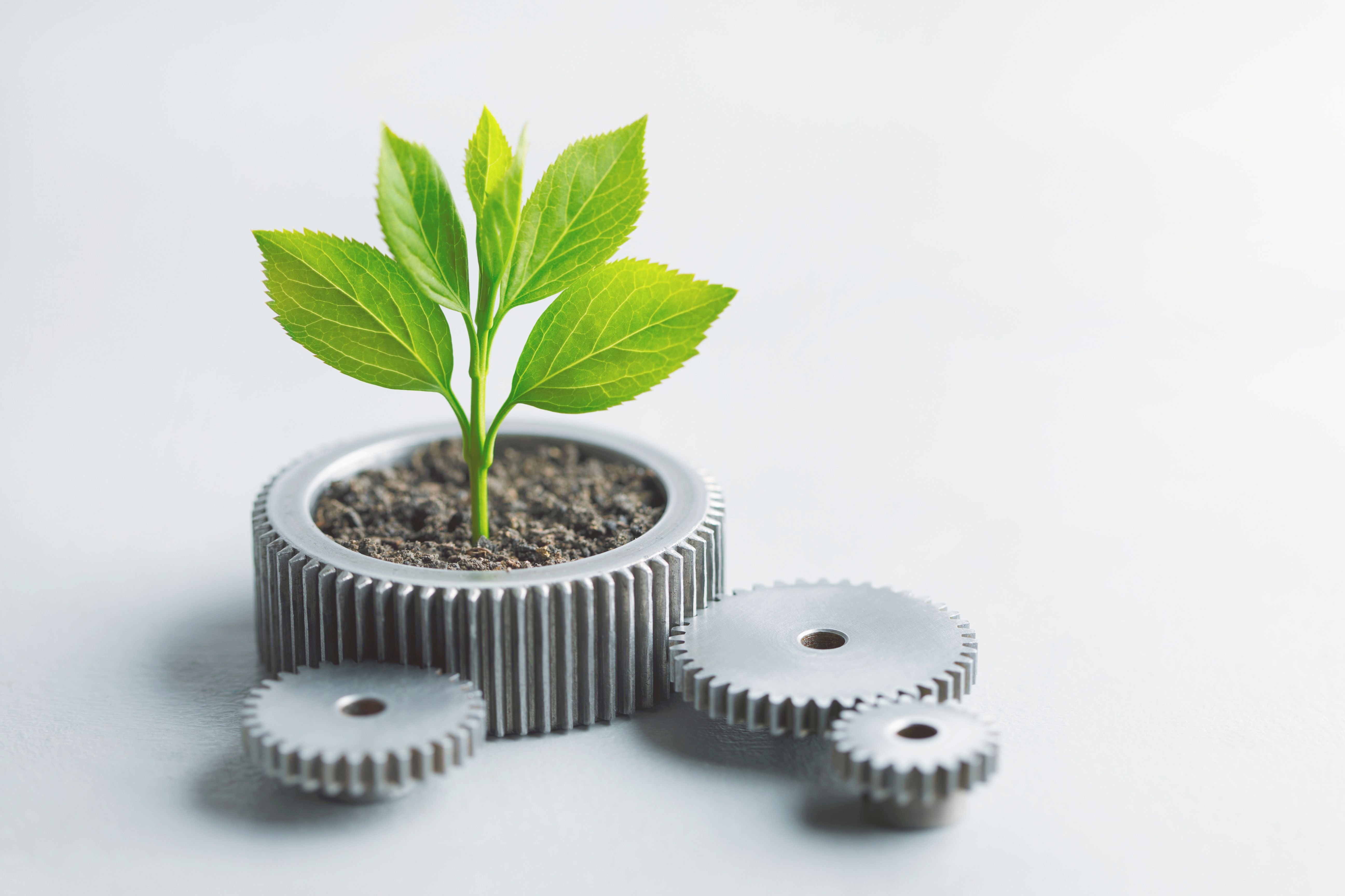 surdurulebilir-uretim